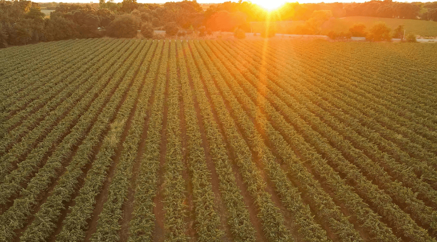 Frazier Ranch Frazier Ranch