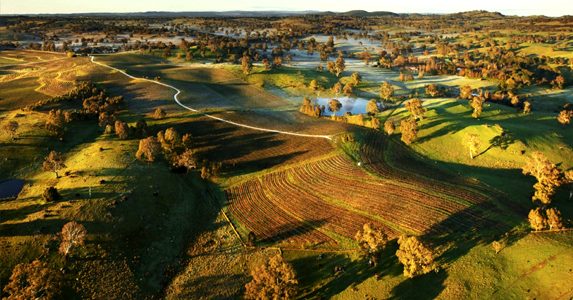 Winegrapes Australia Sourcing Wine or Grapes from Eden Valley