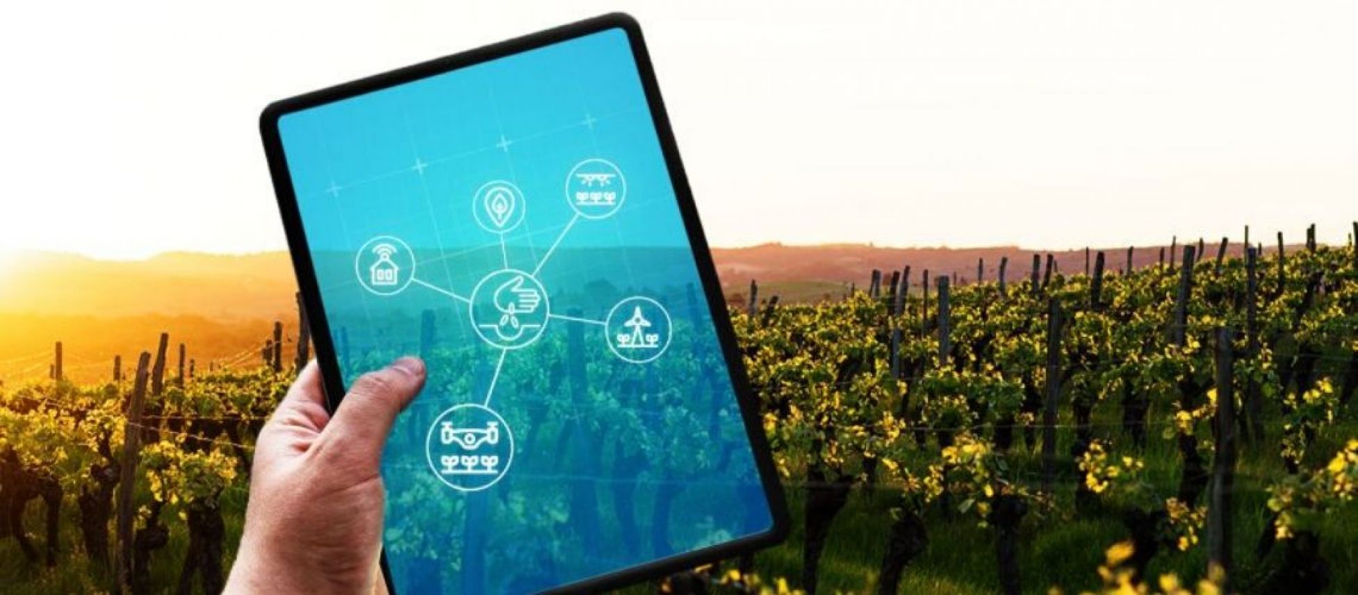 Photo for: Why the Internet of Things Will Lead to the Internet of Wines