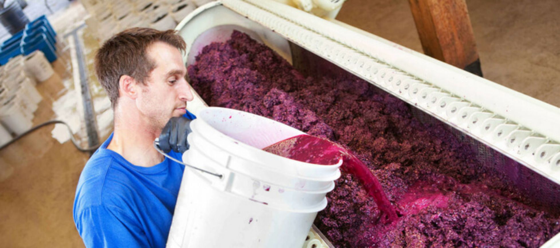 Photo for: Why Bulk Wine is Now So Important to the US and Global Wine Market?