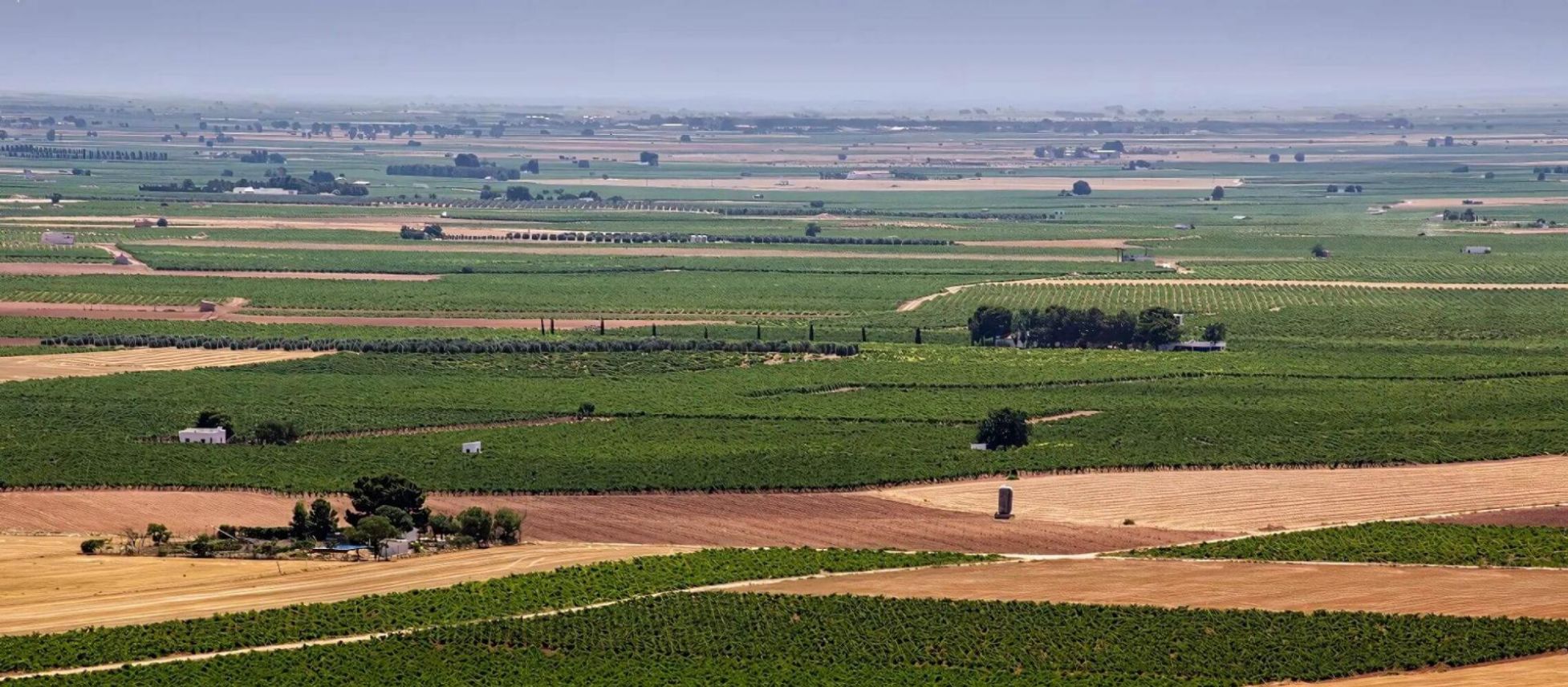 Photo for: Current Prospects for the Spanish Wine Industry: A Focus on Bulk Wine