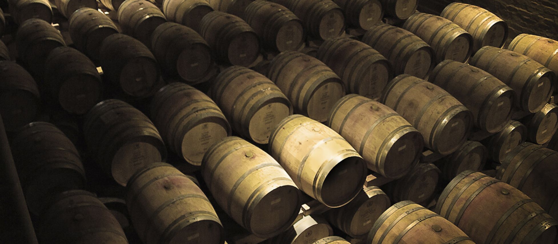 Photo for: Factors You Must Consider When Buying Bulk Wine