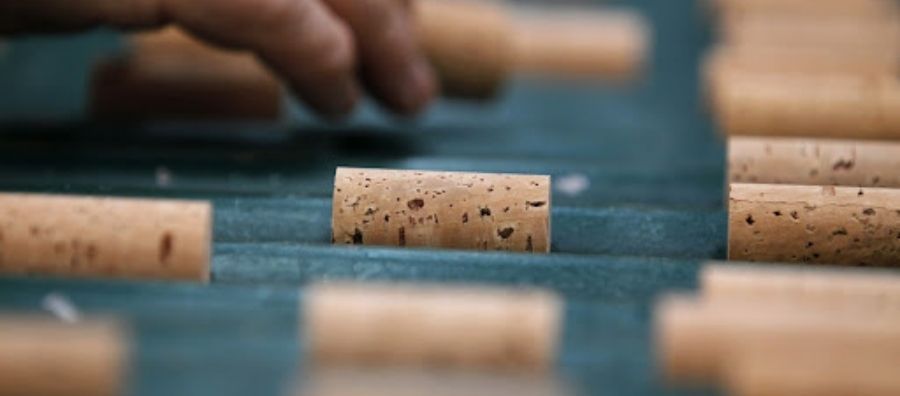 Photo for: The Future of the Wine Cork Industry!