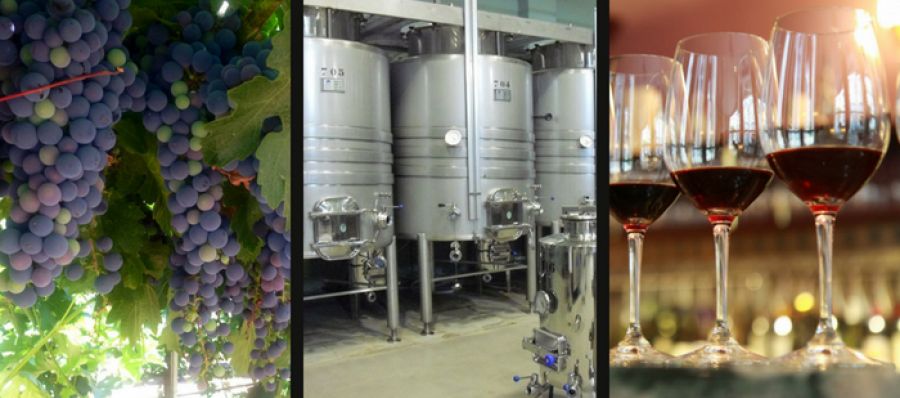 Photo for: Why Your Winery Needs to Embrace Post-Modern Winemaking