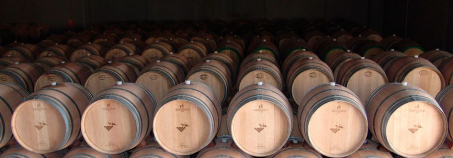 Photo for: VINICOLA DE TOMELLOSO: Wines From La Mancha, Spain