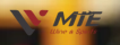 Logo for:  MTE International