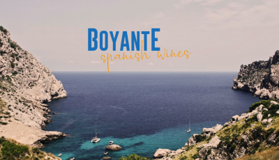 Logo for:  Bodegas Boyante 