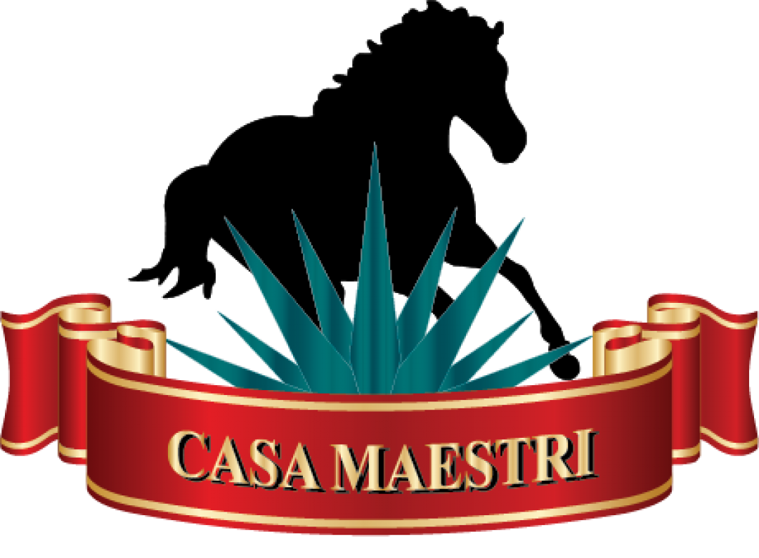 Casa Maestri